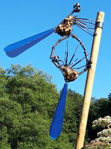 042 Faut l'fer-sculptures-grandes, Agrions 03.