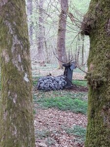042 Faut l'fer-sculptures-grandes, Cerf 02.