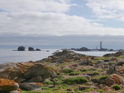 2023, Île de Stagadon (juin)