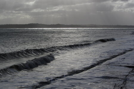 2023, St Laurent de la Mer (mars)