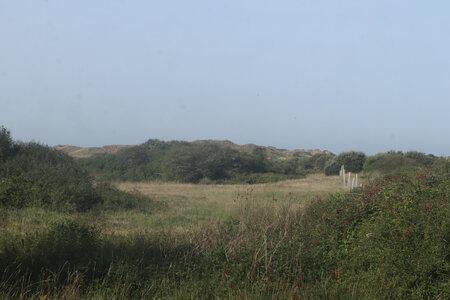 2023 09 07 De Biville à Les Pieux, IMG_5260_Les dunes à Héauville