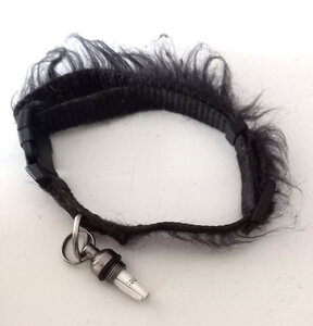 BlogZ, 240102-Collier-Identification-Chat