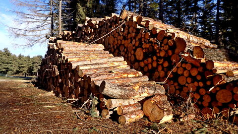 Tour de la Forêt de Gap-Chaudun, Tour de la Forêt Domaniale de Gap-Chaudun 012