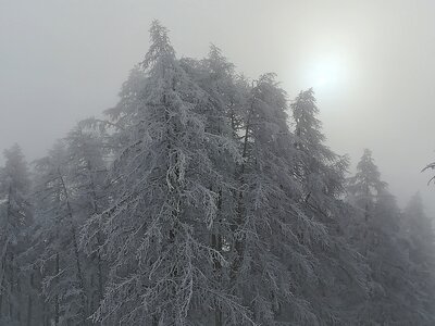 Ski à Ancelle, Matinée de ski à Ancelle 11