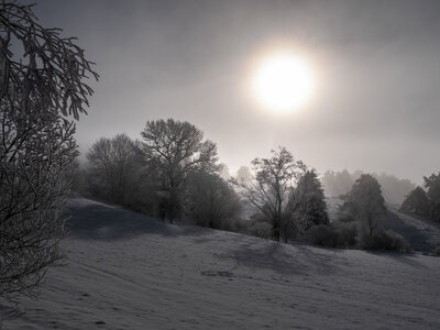 12-01-24_les payas- lac des barbeyroux, _1093834