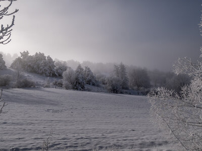 12-01-24_les payas- lac des barbeyroux, _1093836