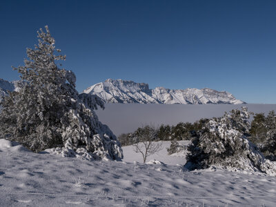 12-01-24_les payas- lac des barbeyroux, _1093837