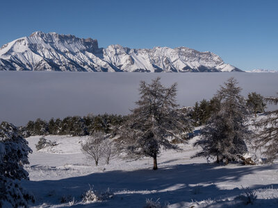 12-01-24_les payas- lac des barbeyroux, _1093840