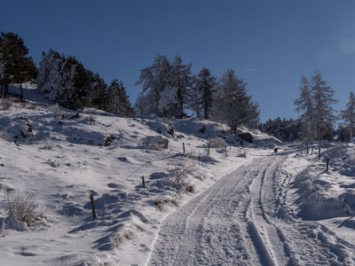 12-01-24_les payas- lac des barbeyroux, _1093841