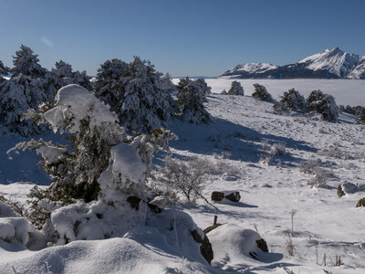 12-01-24_les payas- lac des barbeyroux, _1093842