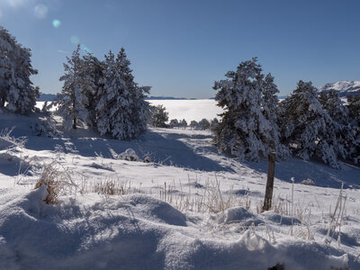 12-01-24_les payas- lac des barbeyroux, _1093843