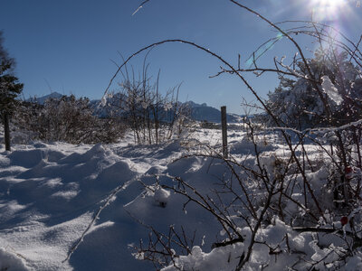 12-01-24_les payas- lac des barbeyroux, _1093844