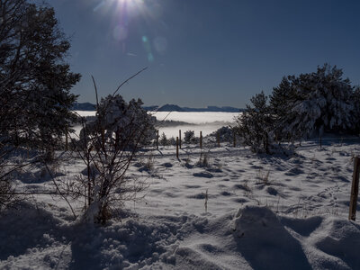 12-01-24_les payas- lac des barbeyroux, _1093845