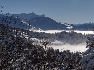 12-01-24_les payas- lac des barbeyroux, _1093846