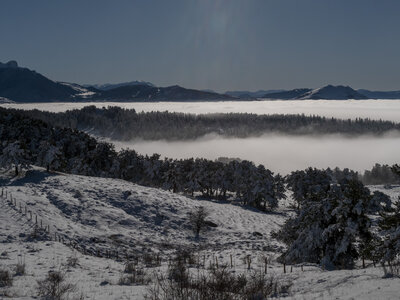 12-01-24_les payas- lac des barbeyroux, _1093847