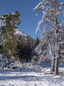 12-01-24_les payas- lac des barbeyroux, _1093853