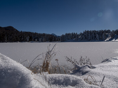 12-01-24_les payas- lac des barbeyroux, _1093857