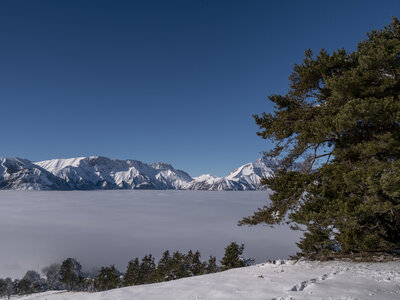 12-01-24_les payas- lac des barbeyroux, _1093858