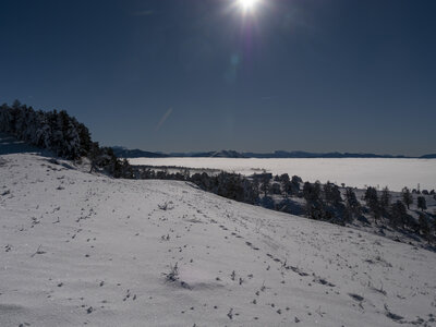 12-01-24_les payas- lac des barbeyroux, _1093859