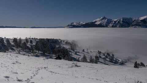 12-01-24_les payas- lac des barbeyroux, _1093860