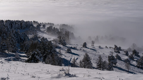 12-01-24_les payas- lac des barbeyroux, _1093862