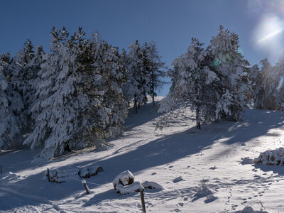 12-01-24_les payas- lac des barbeyroux, _1093863