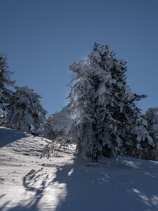 12-01-24_les payas- lac des barbeyroux, _1093864