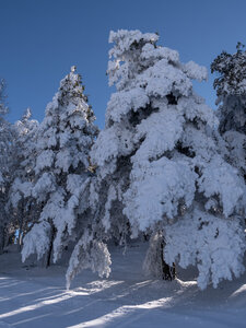 12-01-24_les payas- lac des barbeyroux, _1093865