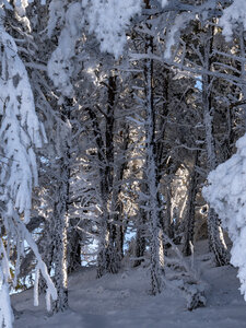 12-01-24_les payas- lac des barbeyroux, _1093866