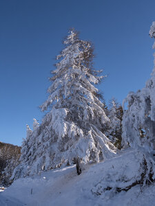 12-01-24_les payas- lac des barbeyroux, _1093869