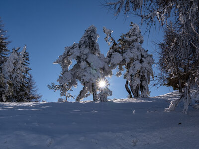 12-01-24_les payas- lac des barbeyroux, _1093870