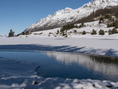 12-01-24_les payas- lac des barbeyroux, _1093874