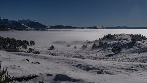 12-01-24_les payas- lac des barbeyroux, _1093880