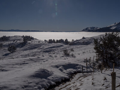 12-01-24_les payas- lac des barbeyroux, _1093881