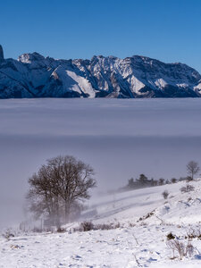 12-01-24_les payas- lac des barbeyroux, _1093882