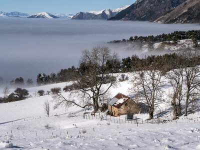 12-01-24_les payas- lac des barbeyroux, _1093884