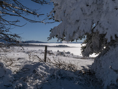 12-01-24_les payas- lac des barbeyroux, _1093887