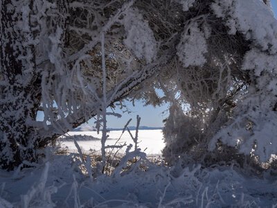 12-01-24_les payas- lac des barbeyroux, _1093888