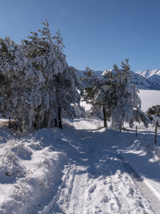 12-01-24_les payas- lac des barbeyroux, _1093891