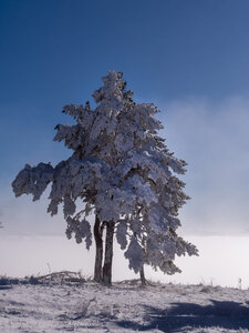 12-01-24_les payas- lac des barbeyroux, _1093894