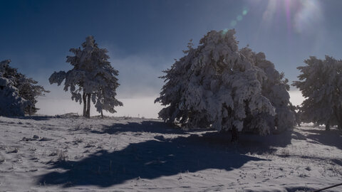 12-01-24_les payas- lac des barbeyroux, _1093895