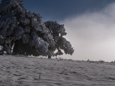 12-01-24_les payas- lac des barbeyroux, _1093897