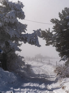 12-01-24_les payas- lac des barbeyroux, _1093898