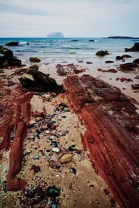 goofypix_public, _SDI1099_Export