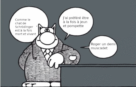 Pompette, chatrödinger