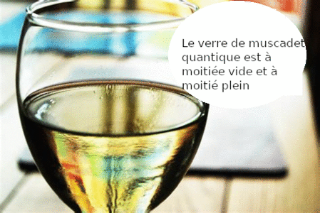 Pompette, muscadet_quantique