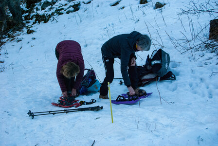 Départ de Serre Eyraud : La cabane de tante Yvonne le 25012024, DSC_0129