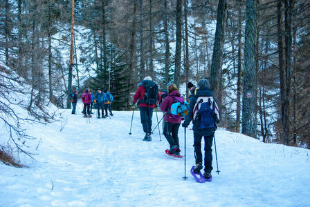 Départ de Serre Eyraud : La cabane de tante Yvonne le 25012024, DSC_0130