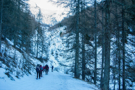 Départ de Serre Eyraud : La cabane de tante Yvonne le 25012024, DSC_0131