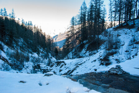 Départ de Serre Eyraud : La cabane de tante Yvonne le 25012024, DSC_0136